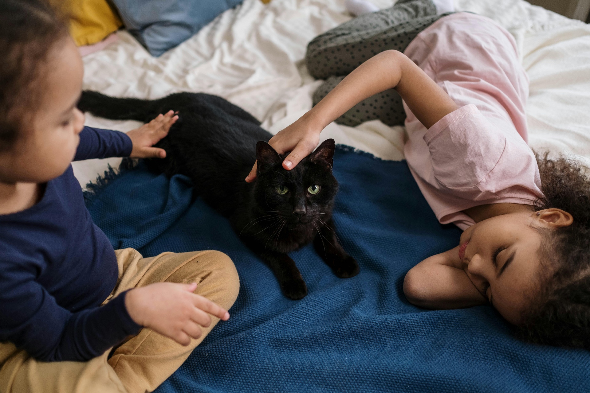 Kids with cat enjoying pet-friendly apartment living at Lumin Terrace Watertown WI